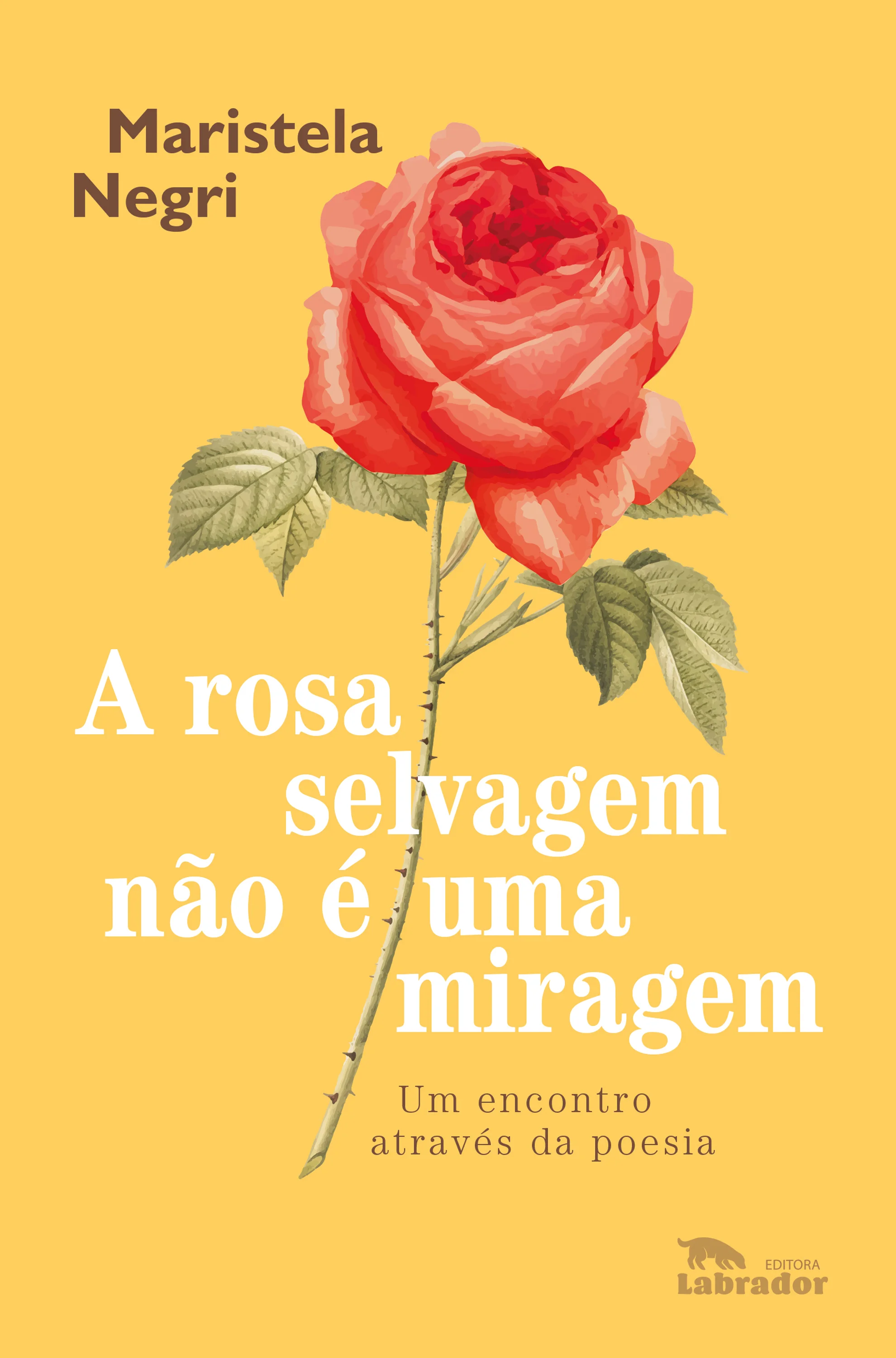 Capa de A rosa selvagem não é uma miragem